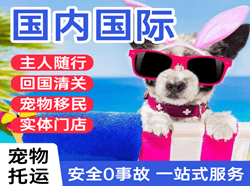 万州五桥航空物流国际宠物托运 【国